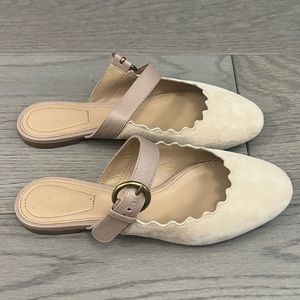 Chloe Suede Flats | 35.5